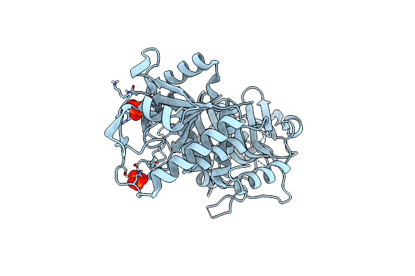 8ZVD image