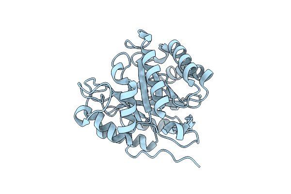 8ZVK image