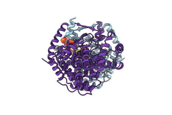 8ZVM image