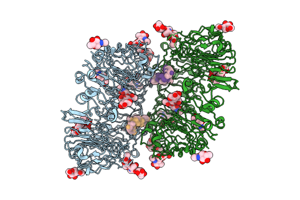 8ZW4 image