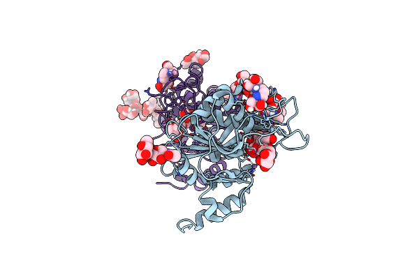 8ZX2 image