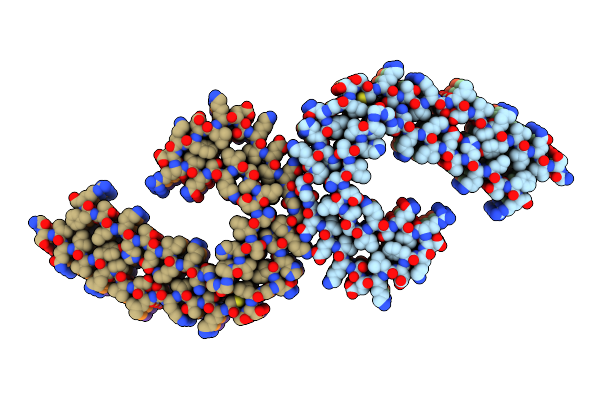 8ZX6 image