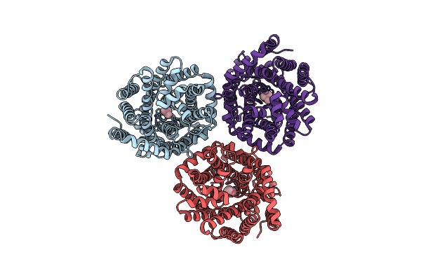 8ZXP image