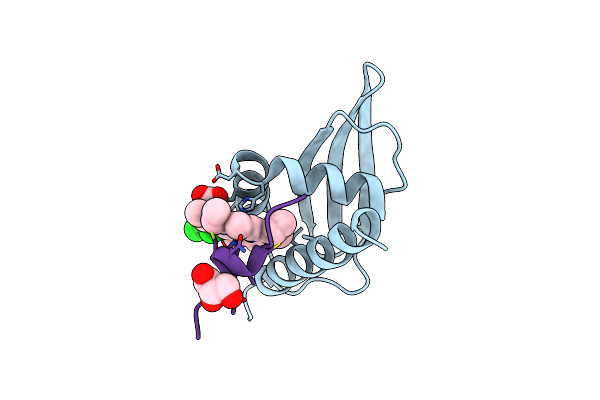 8ZXR image