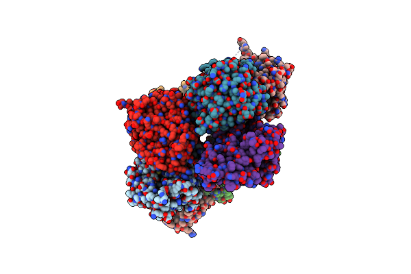 8ZYB image