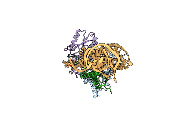 8ZYC image