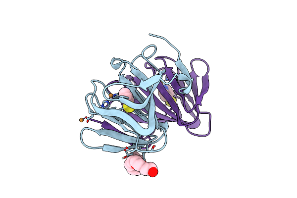 8ZYH image