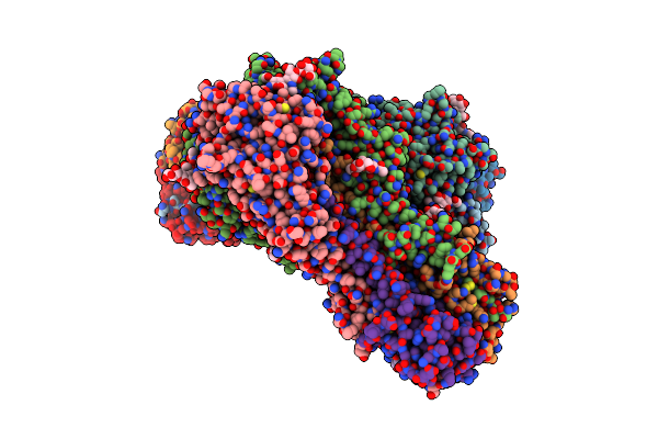 8ZYK image