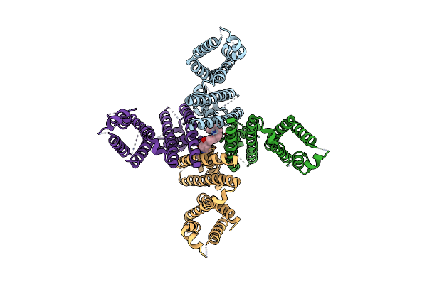 8ZYP image