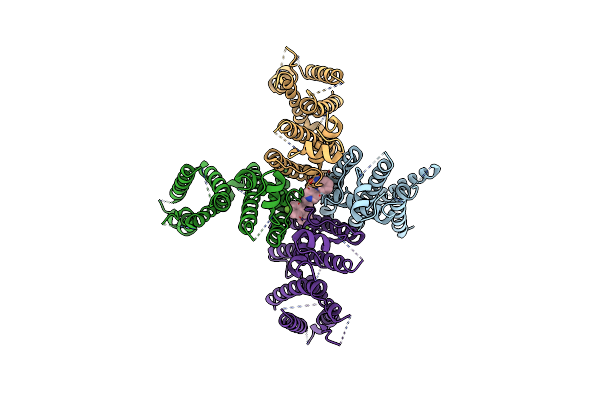 8ZYQ image