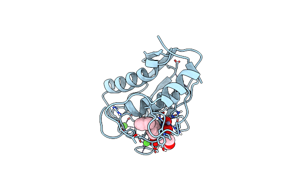 966C image