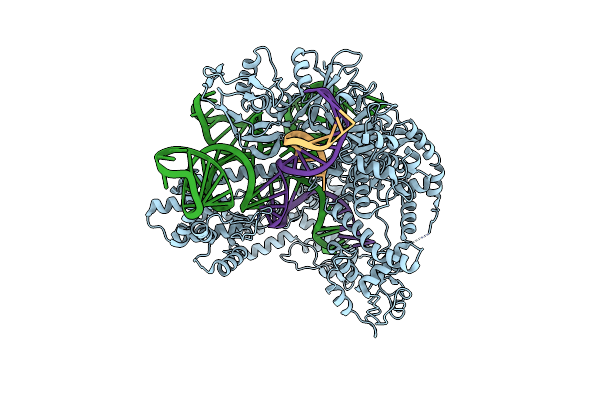 9AR5 image