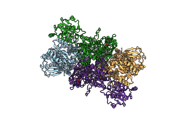 9ARI image