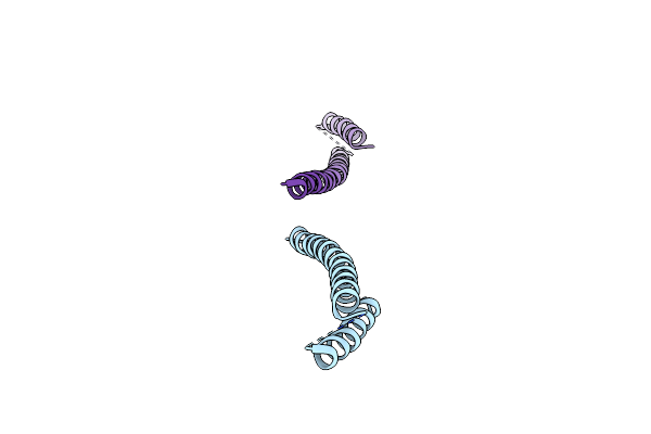 9ARP image