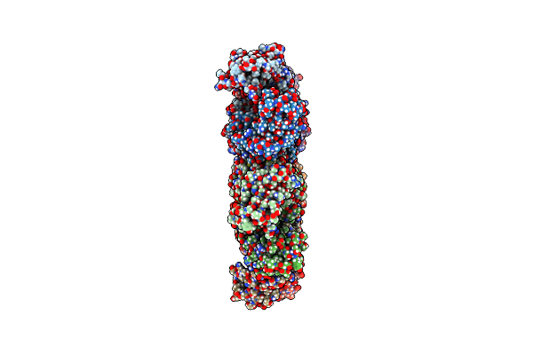 9ARV image