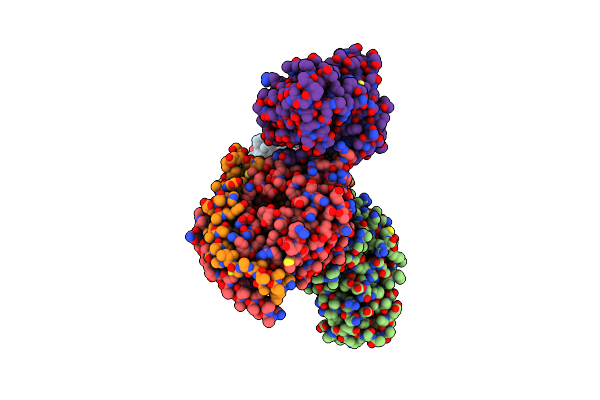 9AS2 image