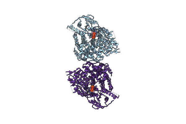 9ASJ image