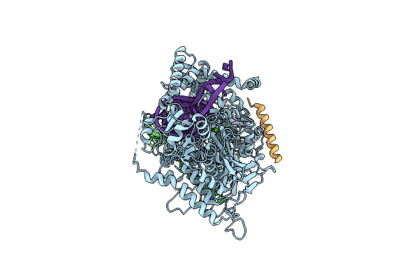9ASM image