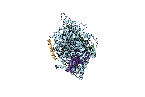 9ASP image