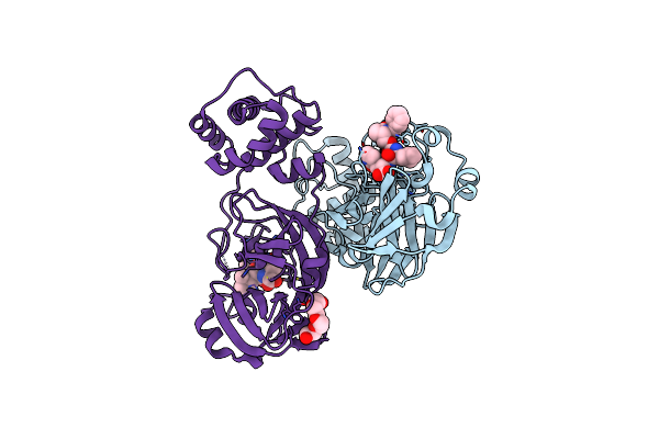 9ASV image