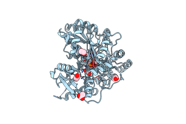 9AUA image