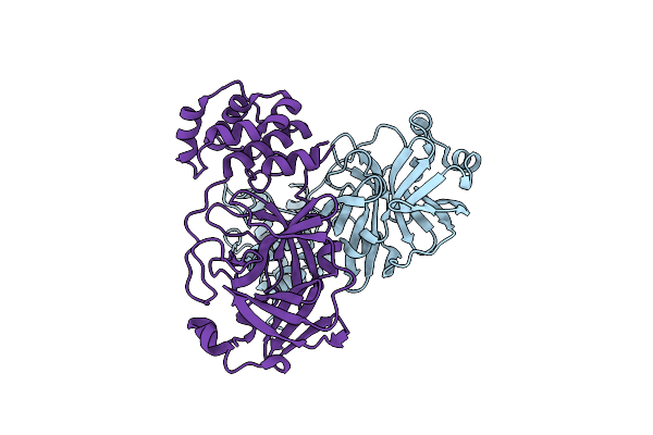 9AUO image