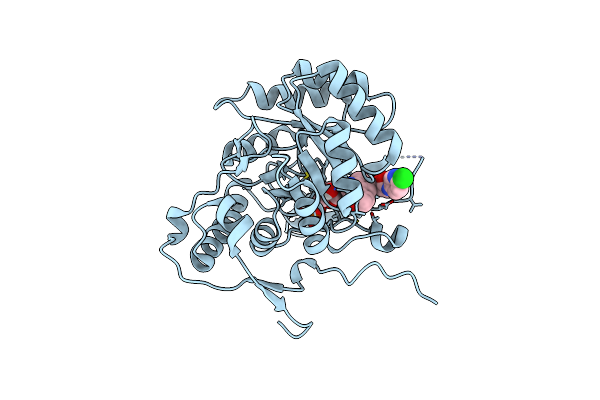 9AV1 image