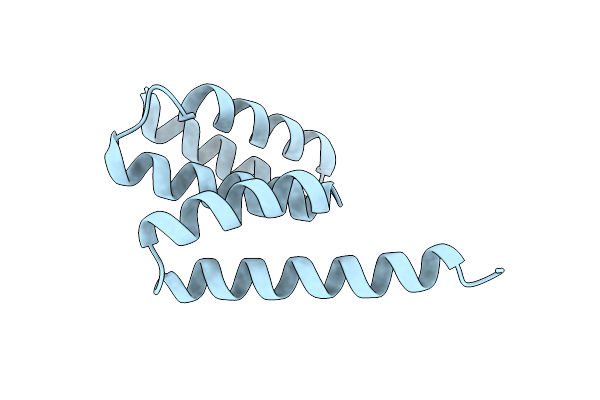 9AVD image