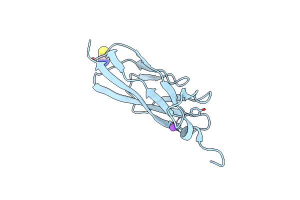 9AVK image