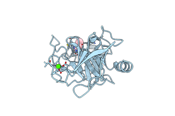 9AW9 image