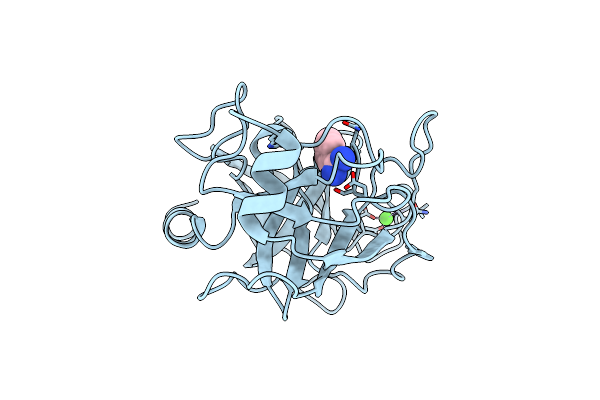 9AWG image