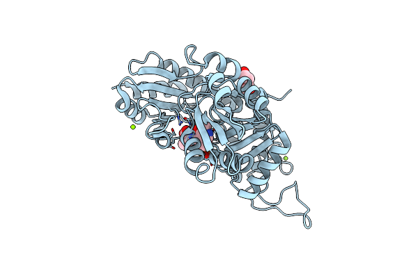 9AXJ image