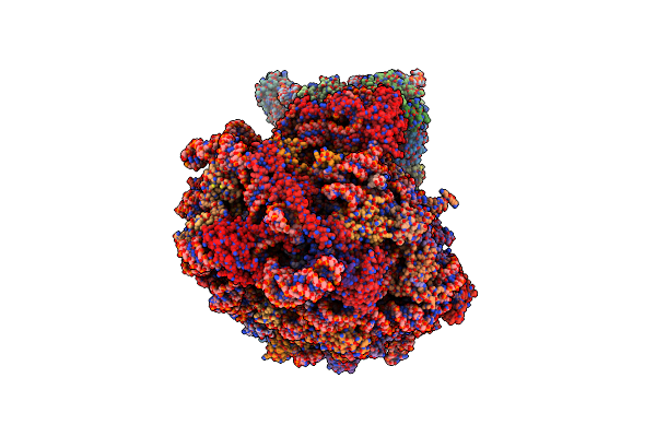 9AXT image