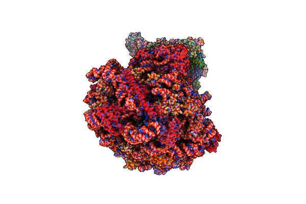 9AXV image