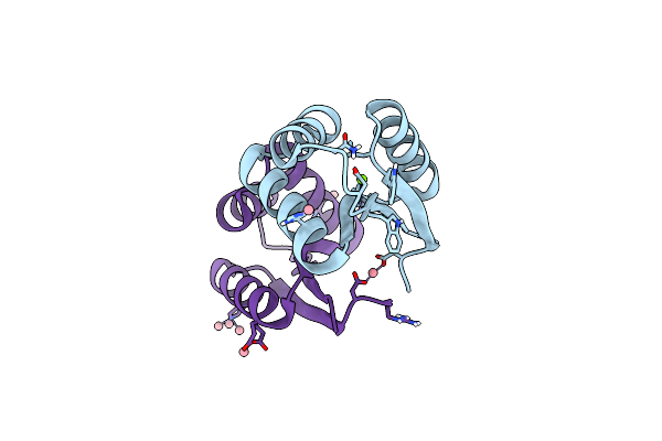 9AYP image