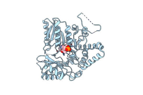 9AZB image