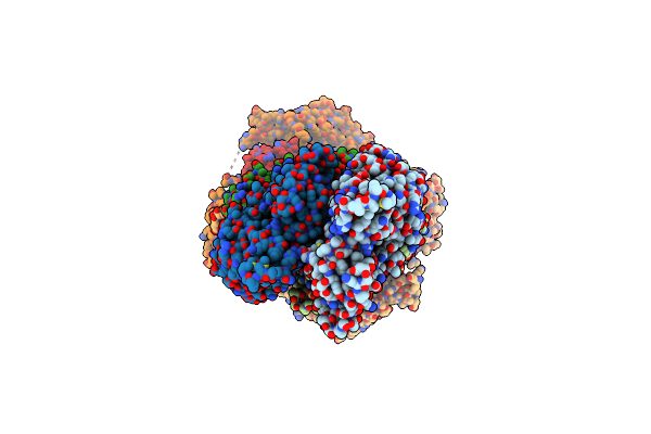 9AZP image