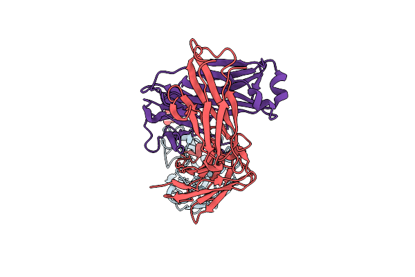 9AZV image