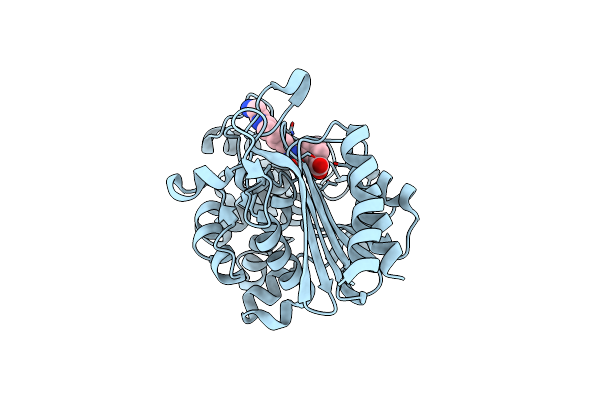 9AZW image