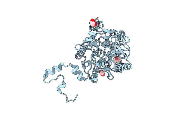 9B01 image