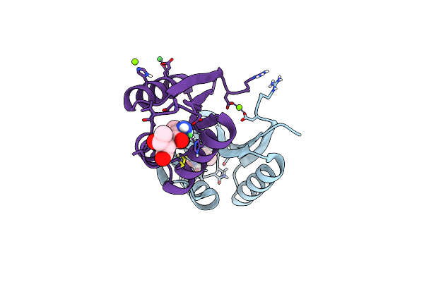 9B06 image