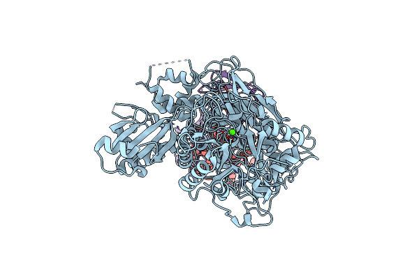 9B13 image