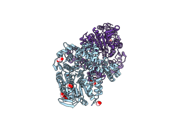 9B15 image