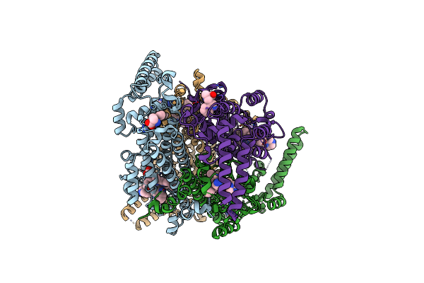 9B17 image