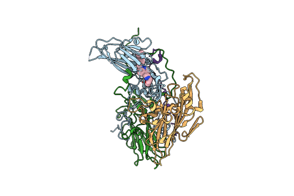 9B18 image