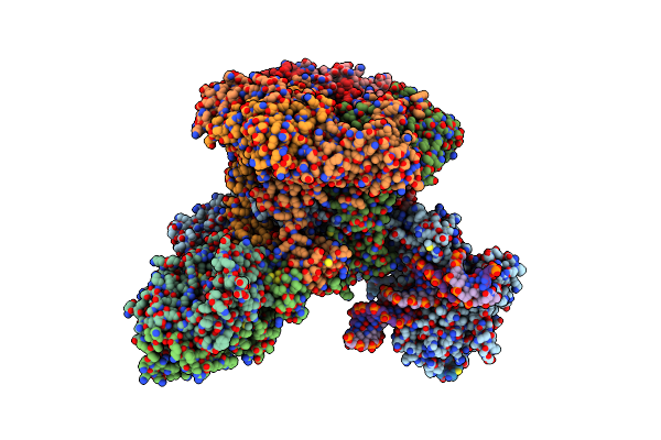 9B1D image