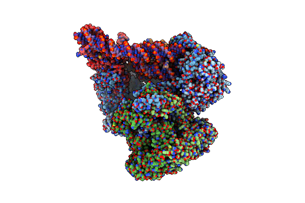 9B1E image