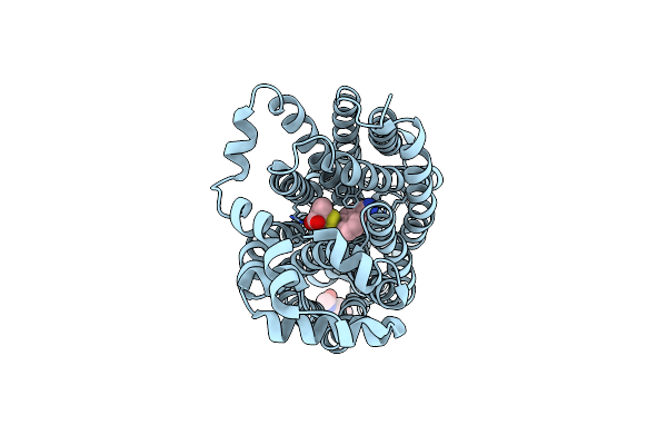 9B1I image