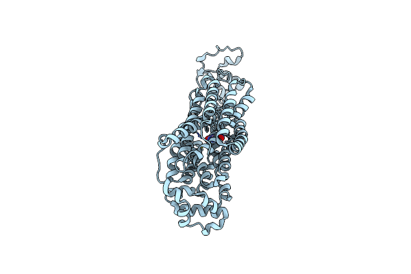 9B1K image