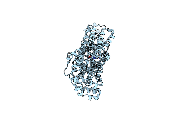 9B1L image